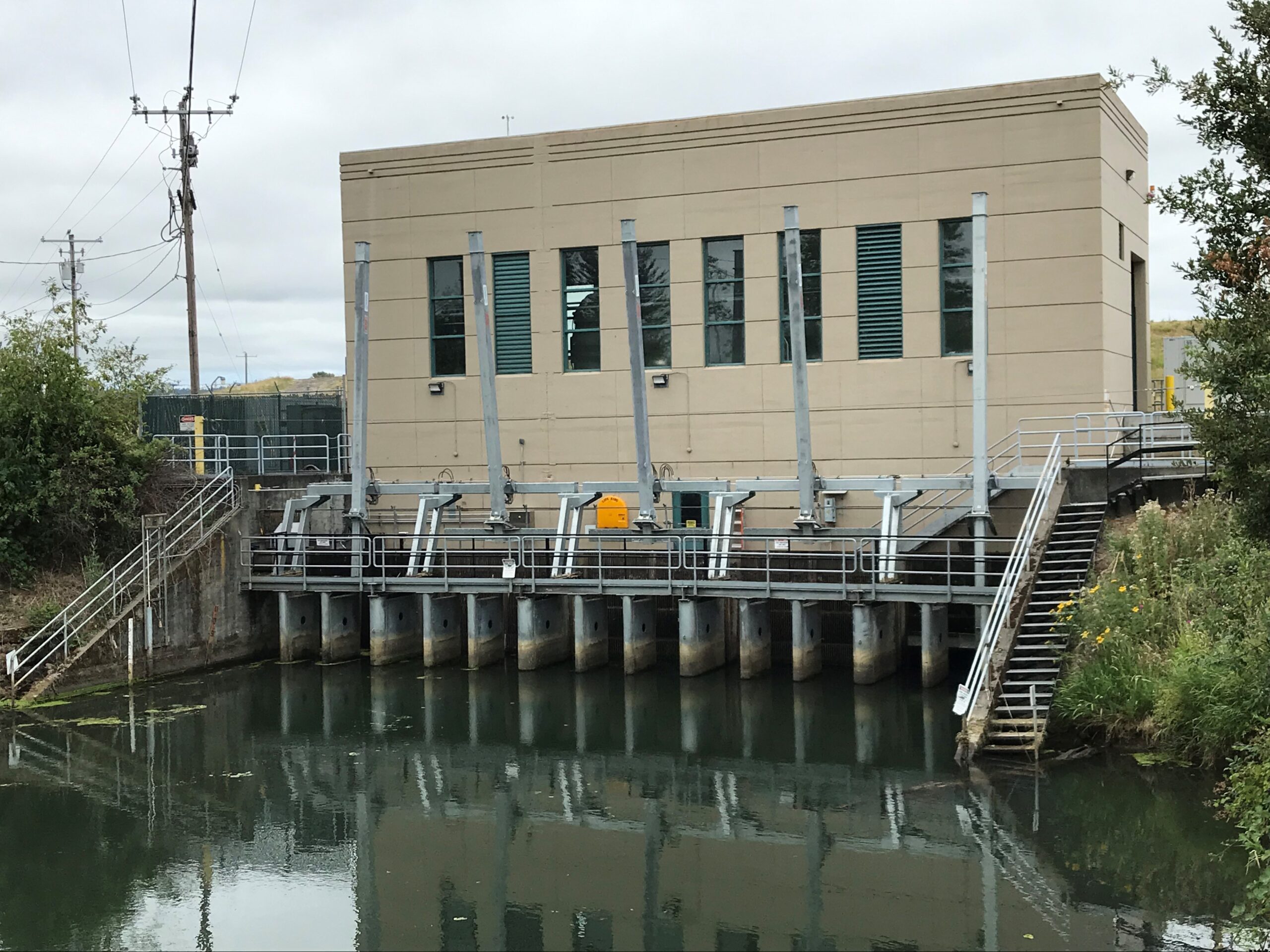 Columbia Slough side of MCDD's Pump Station #1